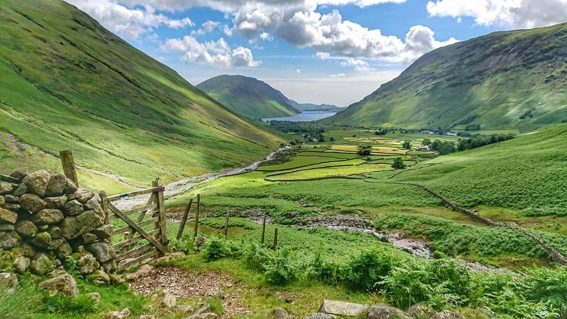 Chris Garner tweet media