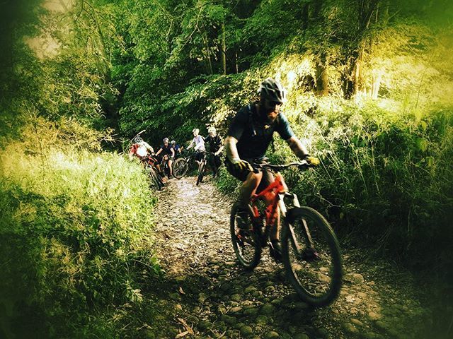 Joolzephoto's tweet photo. Token lass on a local social ride... #18blokesnme #testostertoneheavy #socialkindof #itsnotmorley #lotsofclimbing #bitofdescending #mountainbiking #mountainbikeriding #cycling #notunpleasant #riding #teamsatsuma #thisgirlcan #nottooshabby #localtrailsfor… https://t.co/DSmrJsxsiN https://t.co/SB8ANSBG2B
