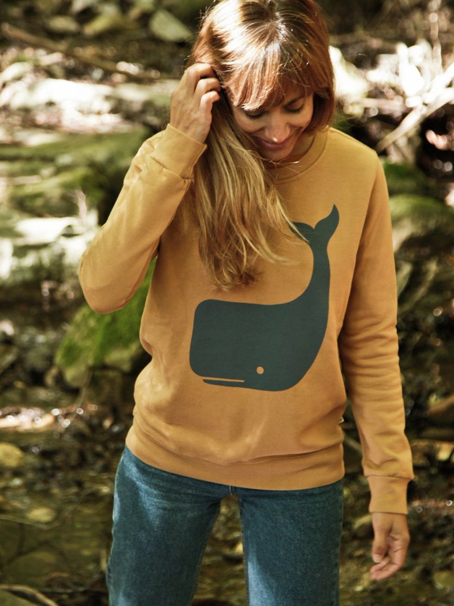 Pinechunks's tweet image. TwoThirds pinechunks.wordpress.com/2018/07/04/two…