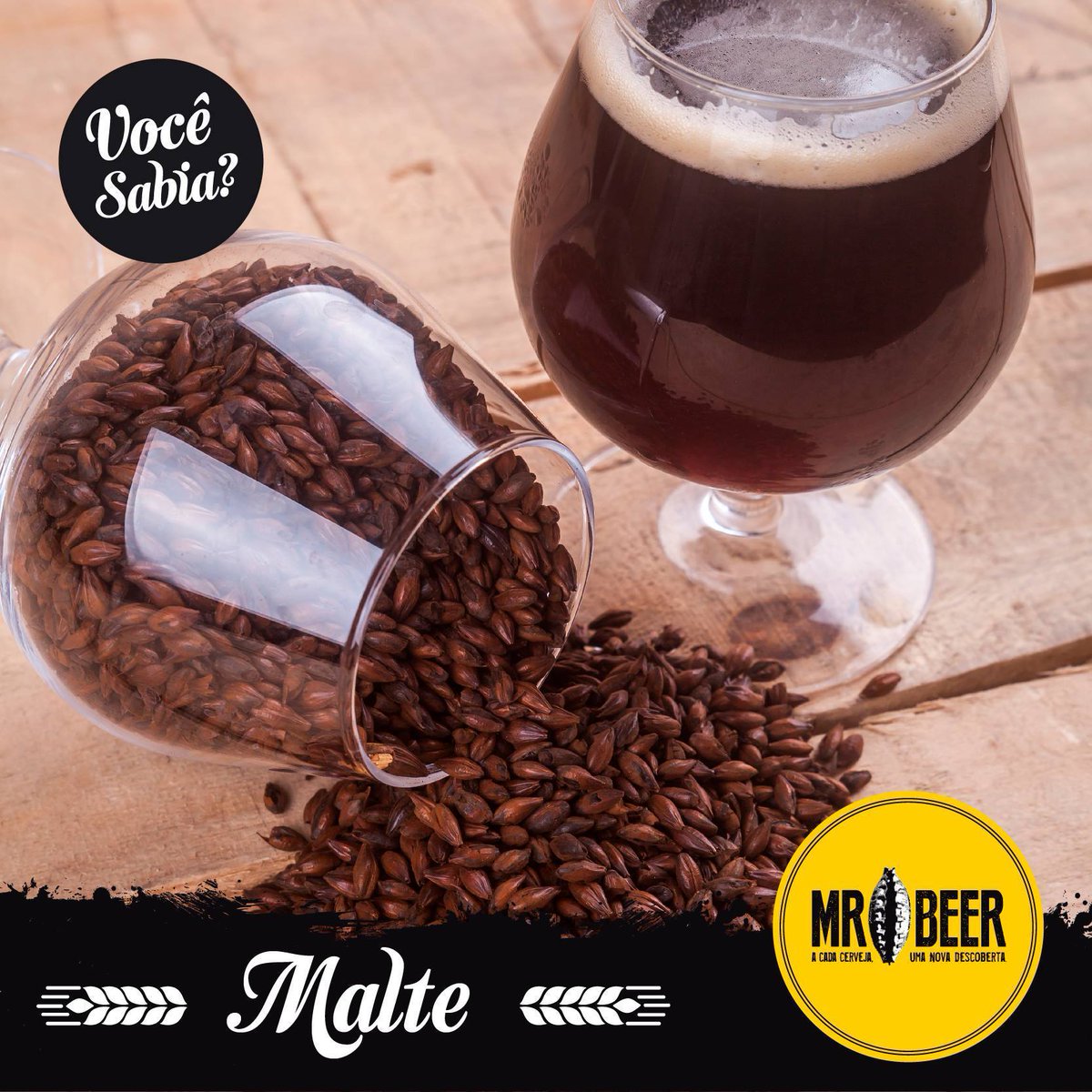 MrBeerBrasil's tweet photo. A principal função do malte na cerveja é fornecer açúcares que servirão de alimento para as leveduras. Saiba mais no nosso instagram! Cheers! 🍻

.
.
.
.
.
#Cheers #malte #cevada #trigo #centeio #aveia #cereal #mosto #germinado #ingrediente #cerveja #mrbeer #cervejasespeciais https://t.co/b8d4EnNC14
