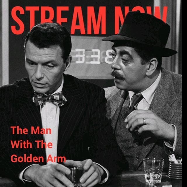 Stream Now PRO tweet media