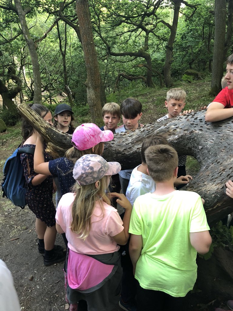 EPA_PGL's tweet photo. Tonight we’ve all had a lovely walk through Padley Gorge together! @parsonhouse #everyonetogether #Whosaidmoneydoesntgrowontrees #tiredfaces #busyday https://t.co/ZWis8cEQje