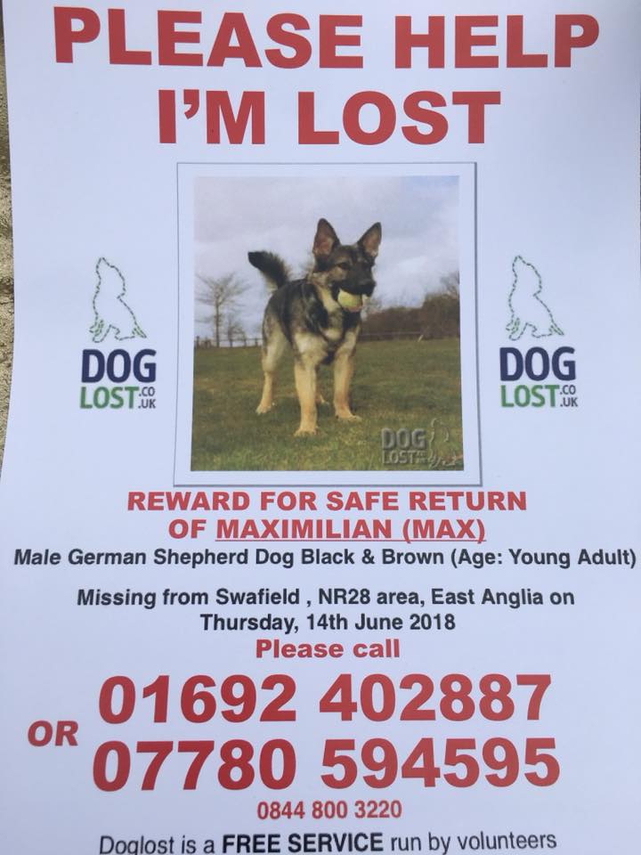 The_Animal_Team's tweet photo. Please RT &amp; look out for #MAX #GermanShepherdDog #Male #Swafield #NR28 Area. #EastAnglia #14/6/18 https://t.co/Mc0IdIekSa https://t.co/tZp1zpvXLf