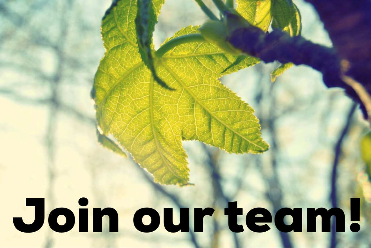 We're hiring! Join our great team in organizing the 2019 SK Living Green Expo. Deadline to apply is July 26, 2018. More info: bit.ly/SESJobOpp #yxe #getgreen