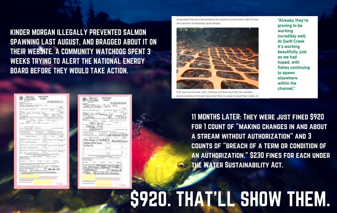 CoastProtectors's tweet image. BREAKING: KINDER MORGAN FINED $920 FOR ILLEGAL SALMON SPAWNING PREVENTION
11 months after #KinderMorgan illegally placed snow fencing in salmon spawning streams, they have finally been reprimanded. Read more: protecttheinlet.ca/breaking-kinde…
#stopkm #protecttheinlet #bcpoli