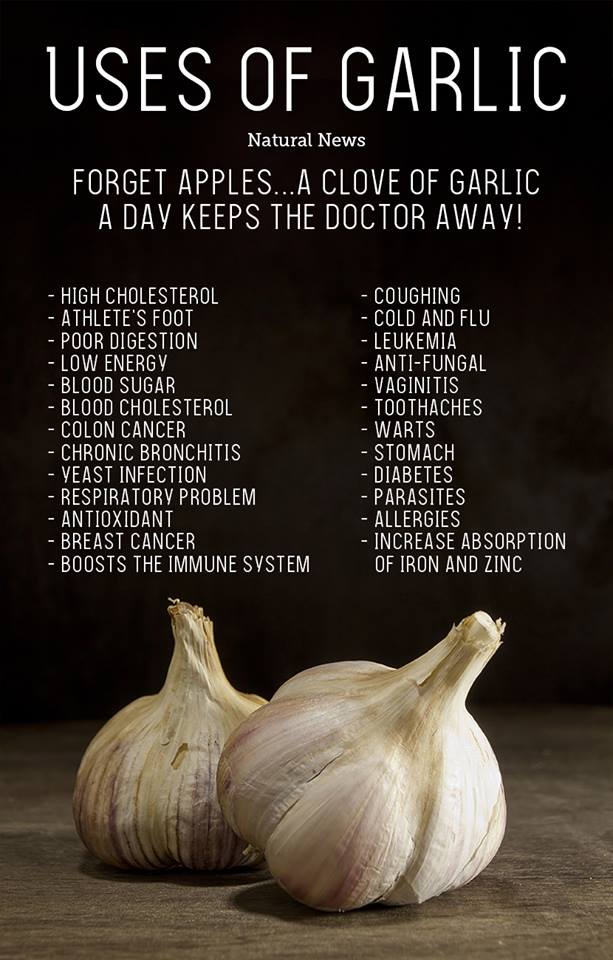 Uses of garlic: #garlic #health #naturalhealth