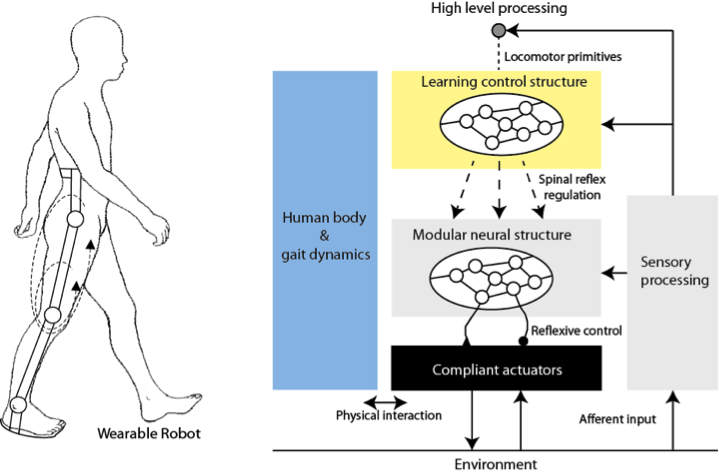 InsightBrief's tweet photo. Read about #BioMot, a project to create #wearable #robots that help injured patients move better. https://t.co/npwUZQ8c05

via @juan_c_moreno @EU_Commission #robotics #innovation #EmergingTech #AI #HealthTech https://t.co/uehZblzxzx