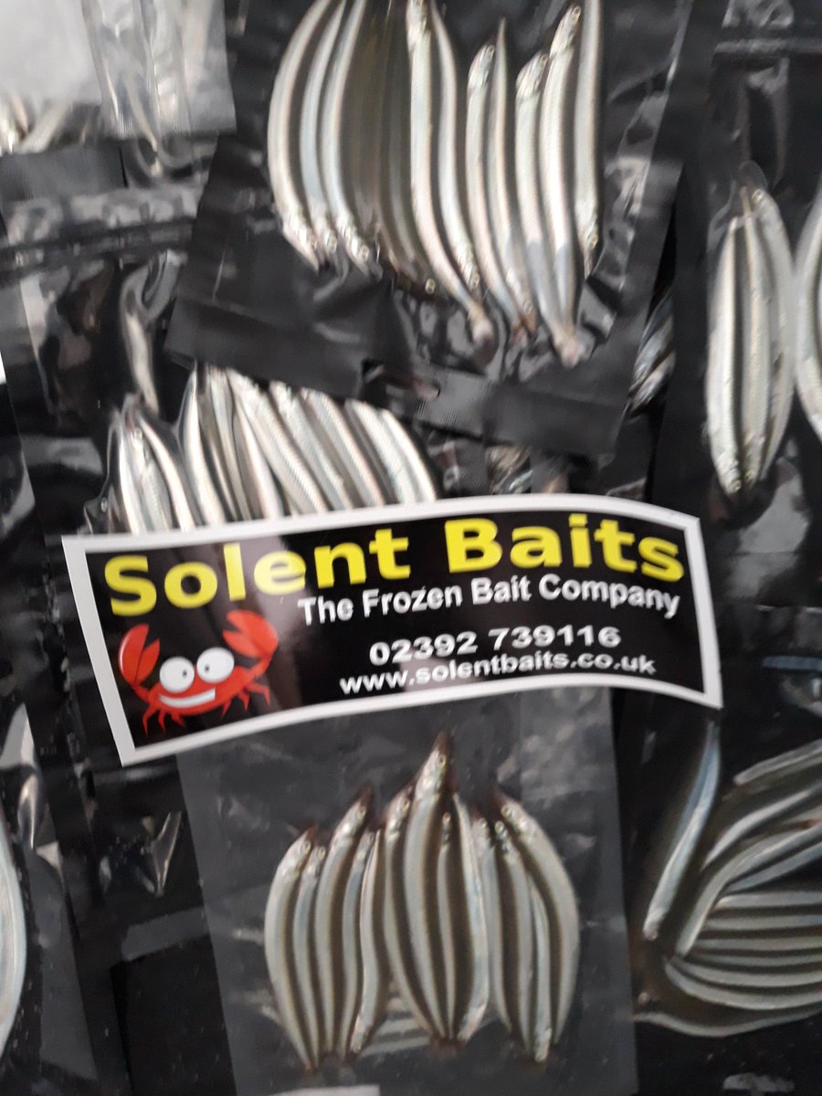 solentbaits's tweet photo. Some cracking #Sandeels  https://t.co/EEoOzeYdxw mail order bait specialists https://t.co/0gzfYz1juE