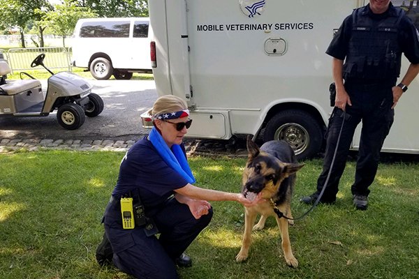 ASPRgov's tweet image. Veterinarians from the National Disaster Medical System are on hand this #4thofJuly2018 to take care of law enforcement horses and K9s. These officers get checkups throughout the day to make sure they can do their jobs and keep the celebration safe.