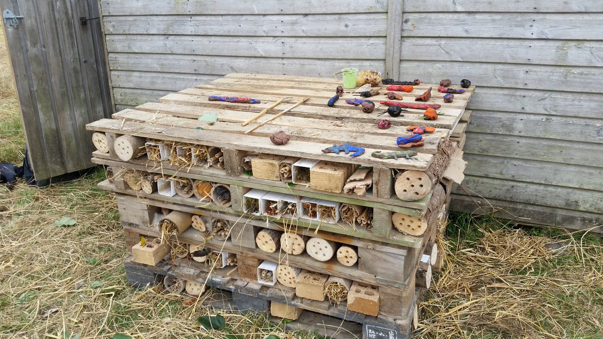 #thirtydayswild couple of days late but finally made our #bughotel with local school children #educationalaccess #naturalengland #beermillwildlife