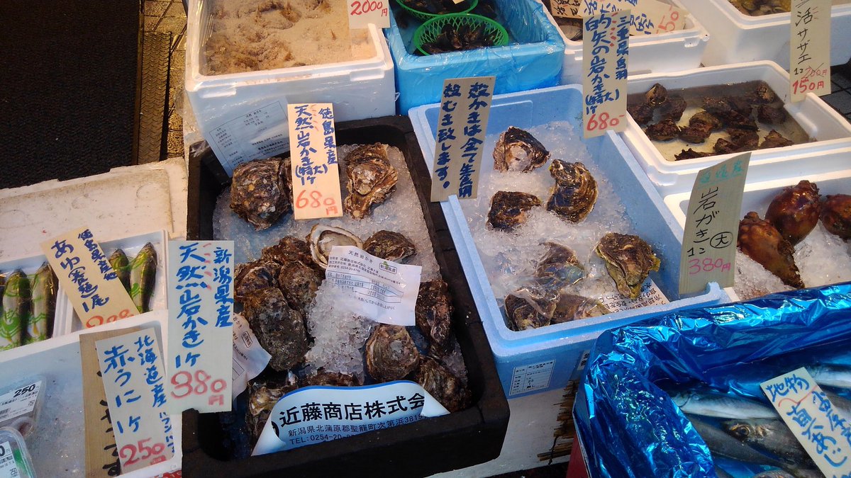 麦イカ 麦イカ