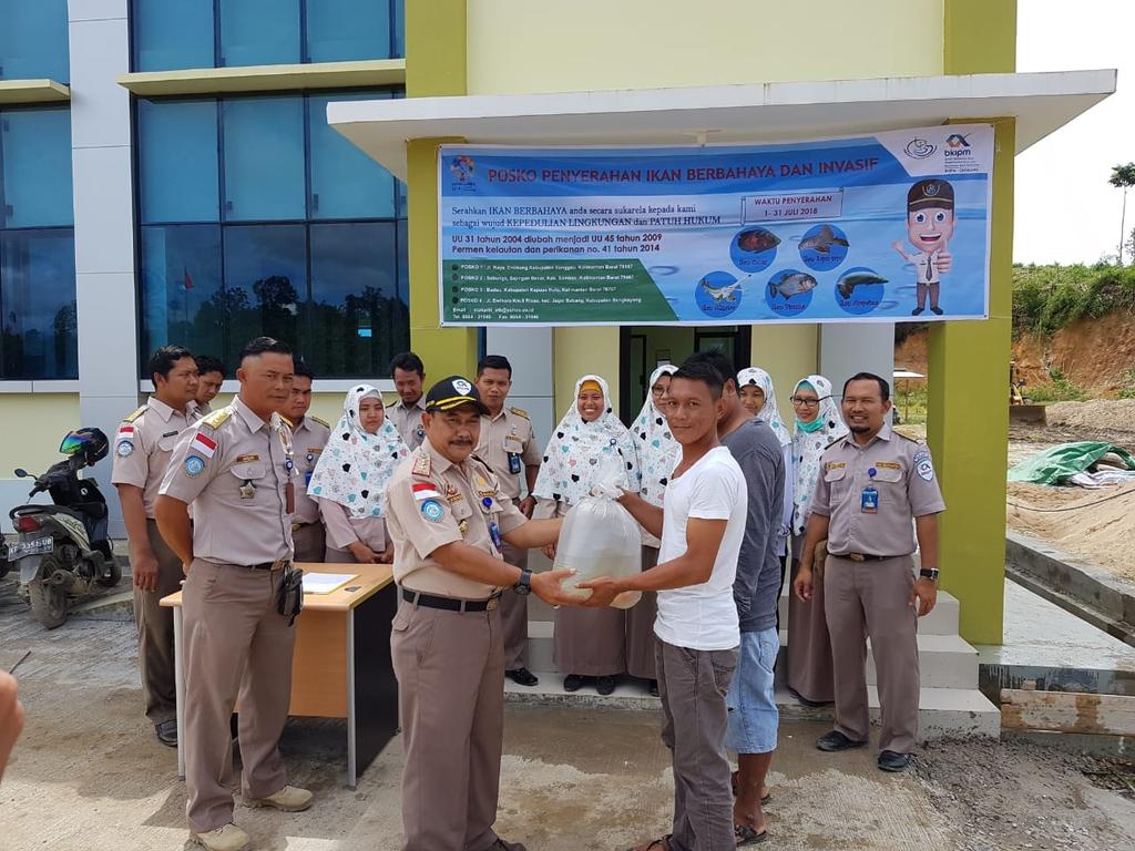 BPPMHKPEntikong's tweet photo. 04/7 #OneHealthKIPM Balai KIPM Entikong telah menerima 6 Ekor ikan piranha yang diserahkan secara sukarela oleh pemilik/hobbies di posko BKIPM Entikong &amp; lanjutkan dengan penandatanganan Berita Acara penyerahan👍🇮🇩💪 @HumasBKIPM @rinajanwar2201 @GiriPratikno https://t.co/KdwN5j5iJr