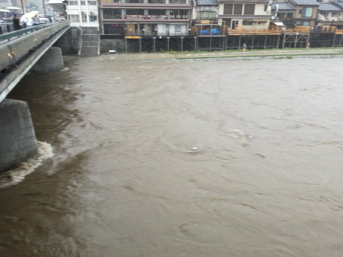 京都あるある 大雨により京都の鴨川の水位が上昇し 流されて来たオオサンショウウオが目撃される Togetter 京都あるある 大雨により京都の鴨川の水位が上昇し 流されて来たオオサンショウウオが目撃される Togetter
