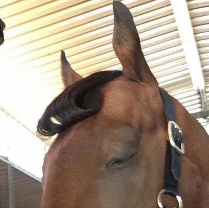 I_W15d0m's tweet image. Quand tu réponds "pardon ?" au lieu "de hein ?"