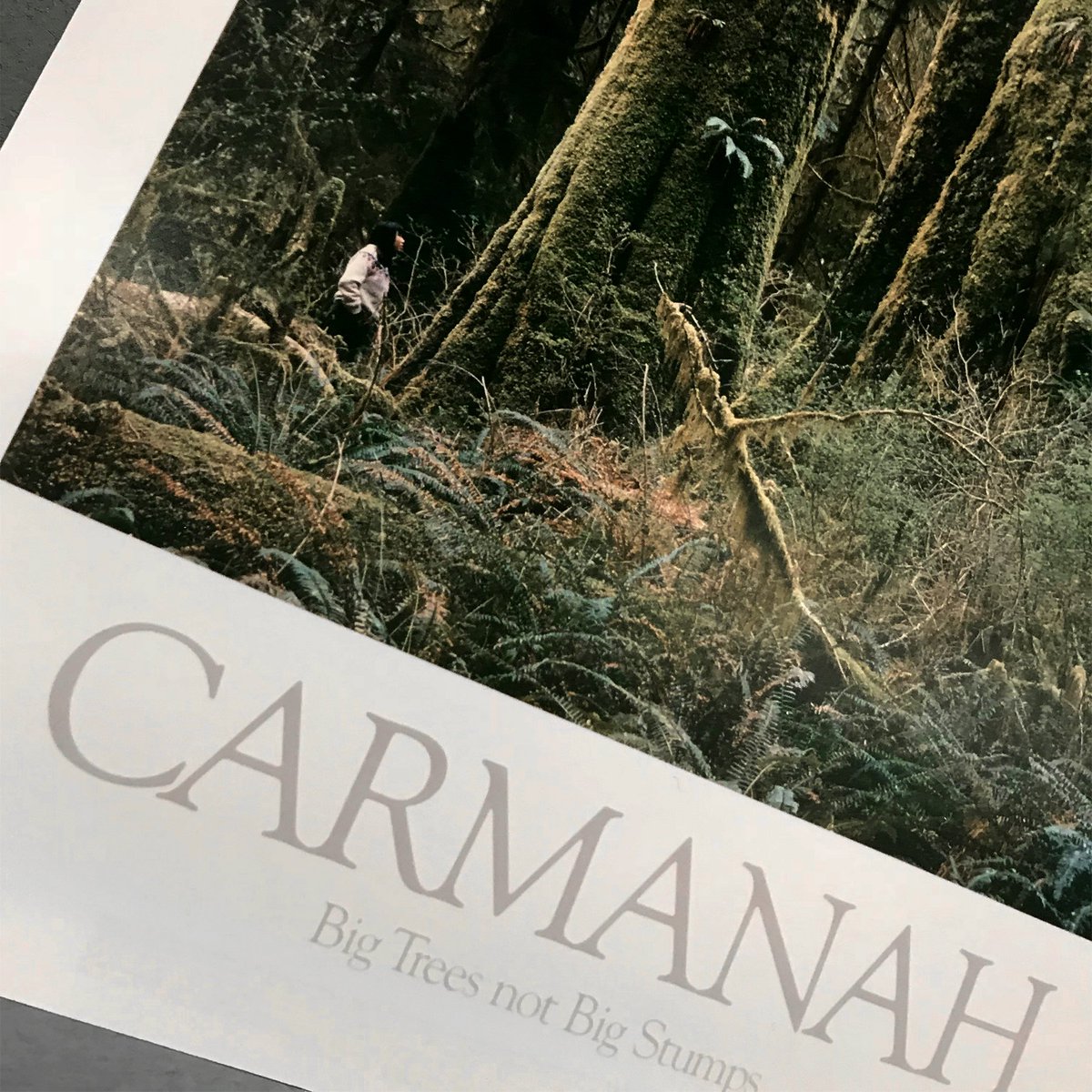 May 1988. Ion’s first client — Western Canada Wilderness Committee #startingout #firsts #WCWC 
•
•
•
#design #branding #anniversary #history #ionturns30