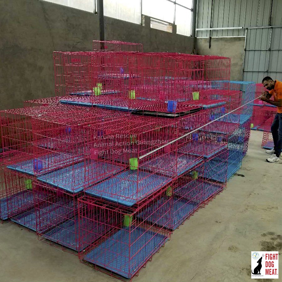 Fight Dog Meat tweet media