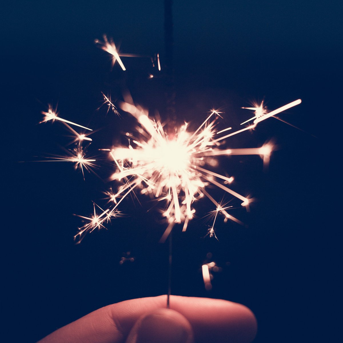 dickermanprints's tweet image. Happy 4th of July from your friends at Dickerman Prints! 💥❤️