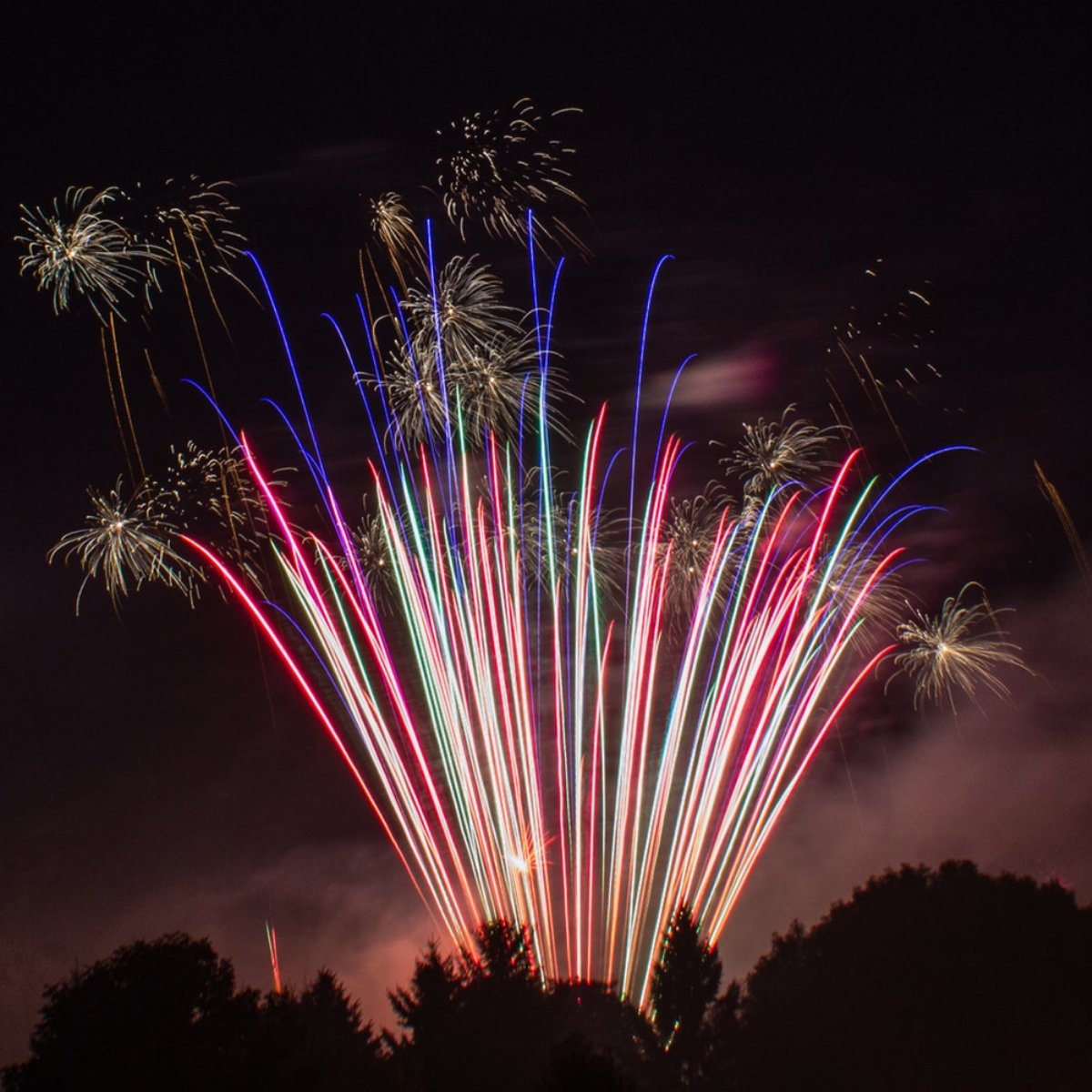 We're wishing you a magical, fun, and safe Fourth of July!