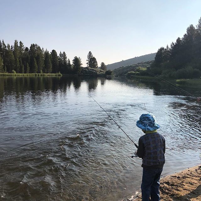 BirdandIvy's tweet photo. Happy 4th of July! Thinking we might make camping and fishing an annual tradition... #freedom #4thofjuly🇺🇸🇺🇸 #catchandrelease #notonpurpose #sierras https://t.co/nhpE4RnBCc https://t.co/wlJ5rdFJZt