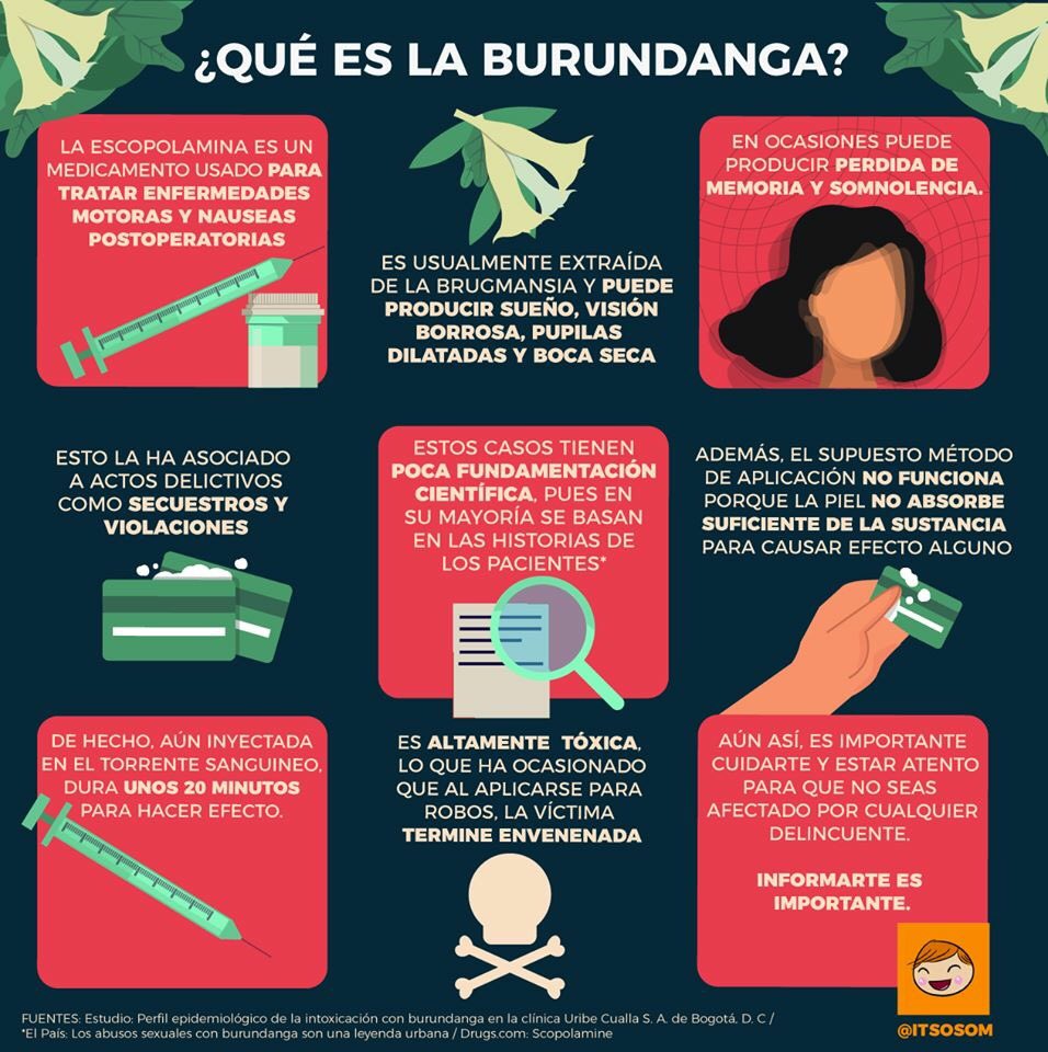 itsosom's tweet image. ¿Qué tanto de leyenda urbana tiene La Burundanga? ¿Qué tanto de realidad? Al parecer es más amarillismo que realidad 👇👇 #ItsOsom #Osom #RD #Burundanga #Escopolamina 

---&amp;gt; Si te pareció informativa ayúdanos con un rt 🙏🏻