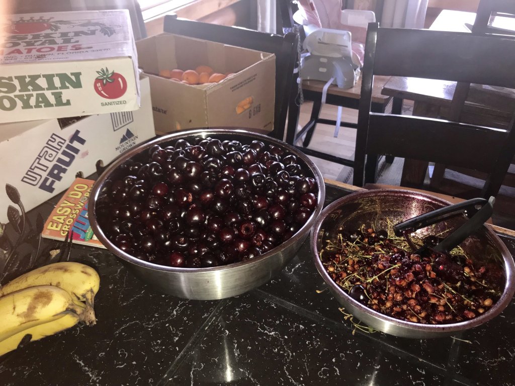 BareDPT's tweet image. 40lbs of Cherries thehighplainshomesteaders.com/2018/07/05/40l…