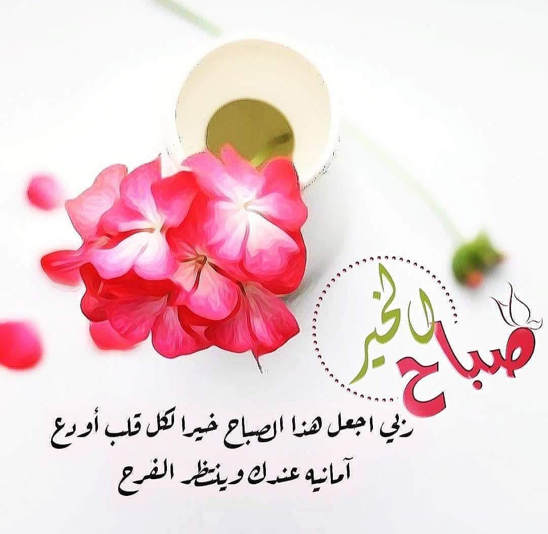 Sh____i90's tweet photo. كن مستغفراً
كن تائباً
كن نادماً
ولا تجعل يومك يمر بلا عمل لاخرتك🦋

﮼صباح ﮼الخير🍃🌺🌝 https://t.co/2I9tbjtkLb