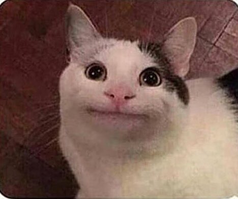 Choplogik's tweet image. choose your fighter