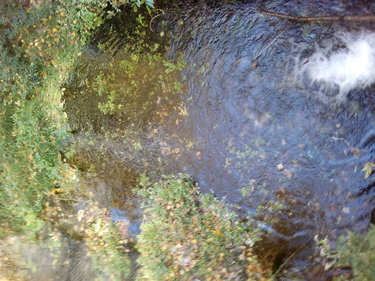 SandraFineArt's tweet image. Ripples #o2sphoto