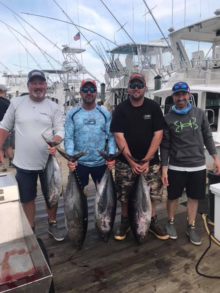 e_pomeranz's tweet photo. More May-Hem out of the OCMD! Yellow fins and blue fins! https://t.co/fwPI9hcE31