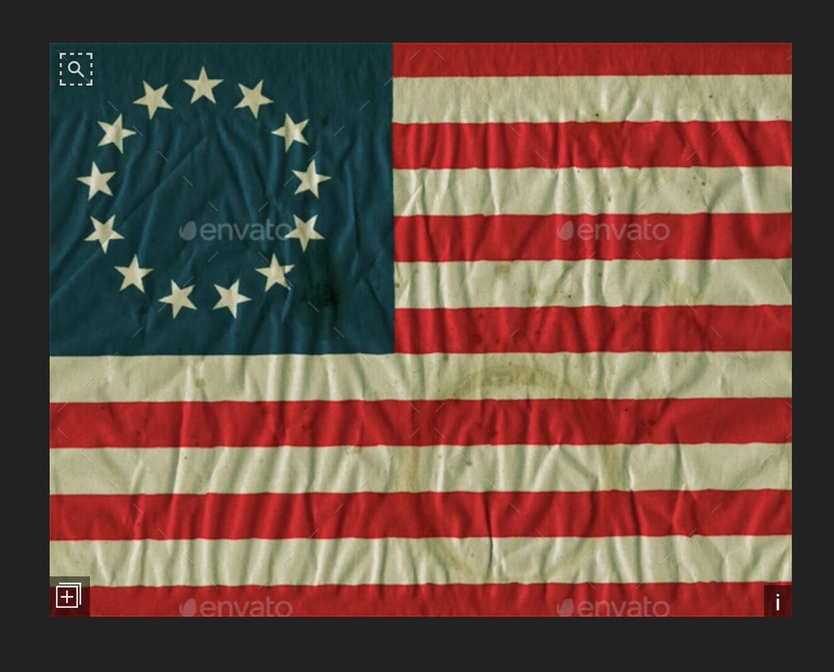 karen_kams56's tweet photo. #4July1776 When we were free(d). Since fascists #DHS #FBI #FusionCenter #Infragard have taken over the modern American flag, this one is mine. https://t.co/hCYUXixaP7