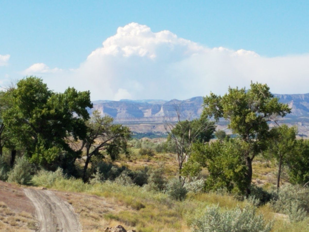 RepWatkins's tweet photo. Dollar Ridge fire from the other side of the mountain, mine.   So sad. https://t.co/LkO37fu3Jo