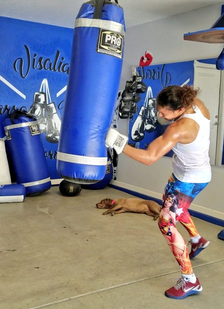 BelizeanBruiser's tweet photo. Happy 4th of July. Be safe out there!! #GarzaBoxing #Hershey #WonderWoman https://t.co/KcRHDU96MS