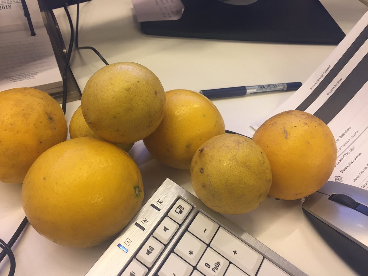 jennyweather's tweet photo. Visits to radio are not usually so fruitful. Thanks @bonsallbrand for the citrus. When life gives you #lemons make a #lemondelicious pudding. @abcbrisbane #hiddenpersuaders https://t.co/Sk5S4GeEcD
