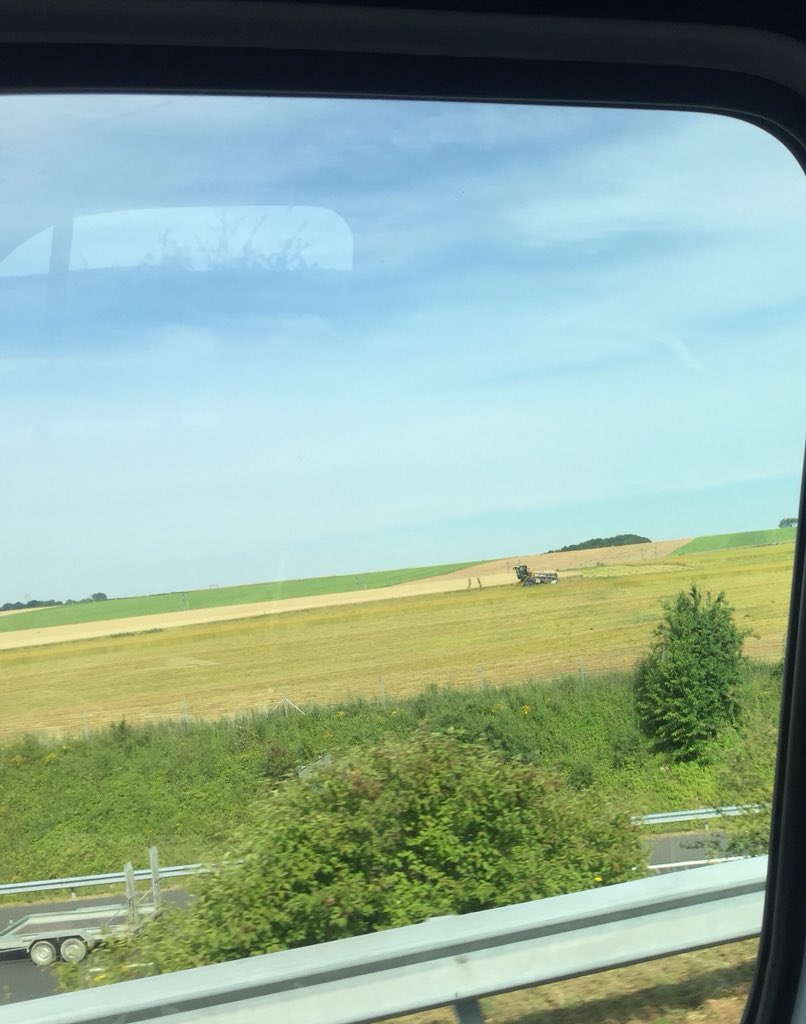 #arrachage du #lin au km 137 A1 #lille vers #Paris @wearelinen <a href="/Bluesy27/">Bluesy</a> <a href="/EugnieSalom/">Eugénie Salomé</a> <a href="/Mbt59/">Mathias Bricout</a>