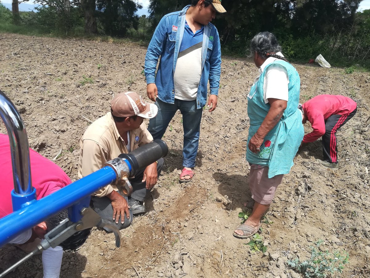 yashimvrc's tweet image. Integradora de Básicos del Istmo SPR de RL *Práctica de Calibración y Manejo de Motocultor * Punto de Maquinaria de Valles Centrales de Oaxaca. #YoSiembroAC #HubPSur #IBI #PMVallesCentrales 
@ACCIMMYT @HubPSurCimmyt @Jelle_VanLoon @IauiaOrtega @SAGARPA_Oax