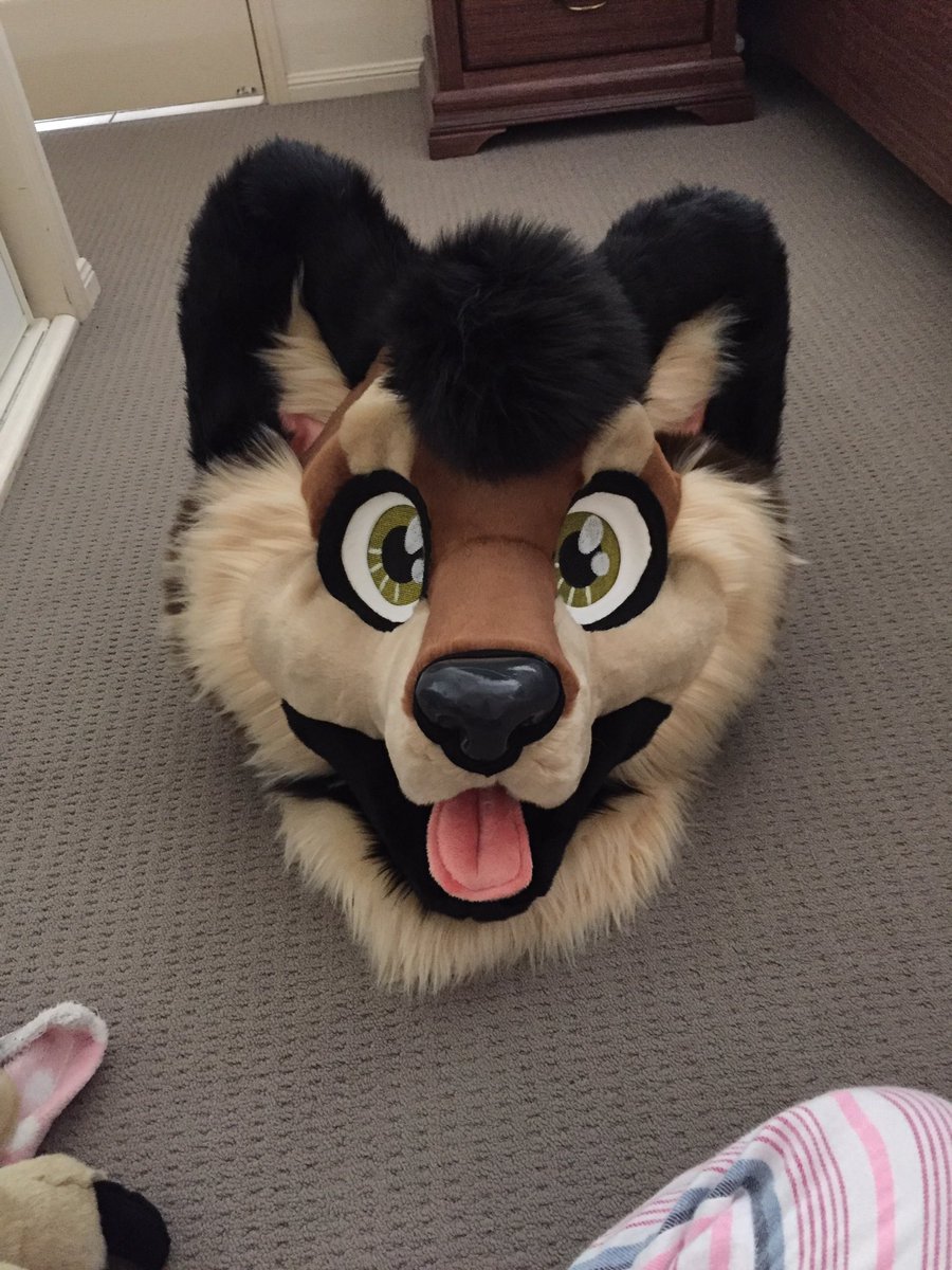 LazyLupe's tweet photo. I would honestly keep this boi if I could afford it he's hecking adorable and I'm proud of him, it turned out really well ngl. I'm actually surprised no one has been interested. I think he'd also make a great shiba with a different tail xD https://t.co/UctaDFsEJZ