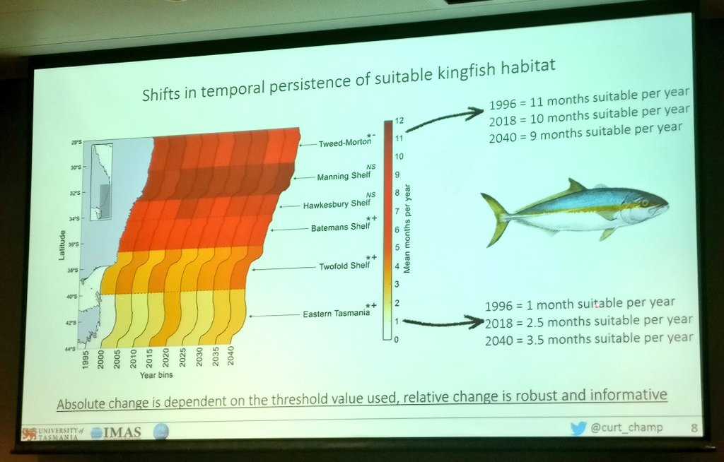 SatelliteSci's tweet image. .@curt_champ combining #citizenscience data and #remotesensing to model exactly how long Yellowtail Kingfish will be hanging around your neighbourhood with #climatechange! 🐟 (my home town of Forster representing at #AMSA18!)