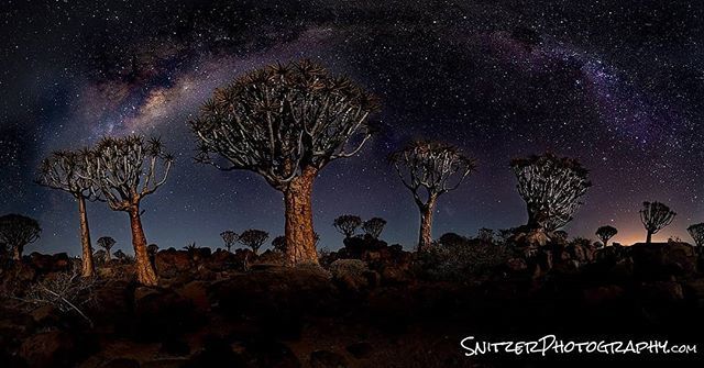 Snitzerphoto's tweet photo. Nambian Quiver Tree Forest under the Milkyway. For our photo enthusiasts:  8 shot pano (30 sec exposures with Rokinon 14mm @ f2.8m ISO 2,600 under a 40% moon).
.
.
.
.
#nature #beautifuldestinations #earthfocus #keepitwild #discoverglobe #discoverearth #… https://t.co/yoTyNyShn4 https://t.co/fVDRZI33dM