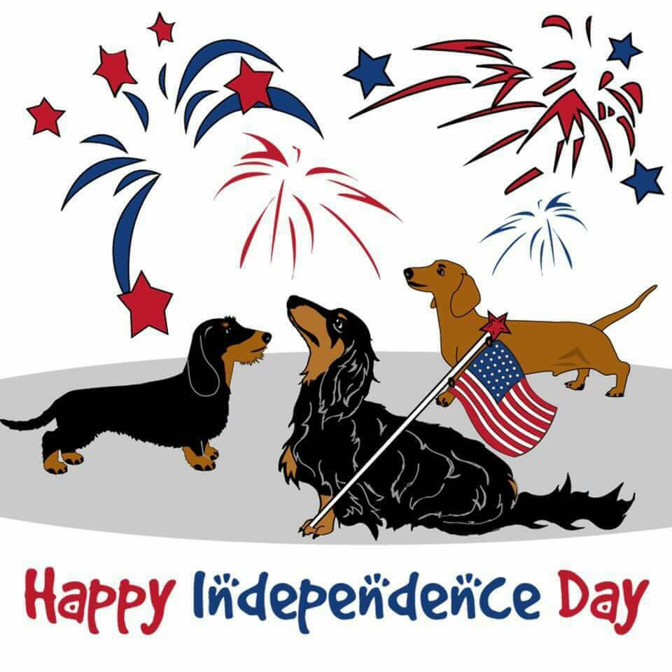 Rexys16's tweet image. 