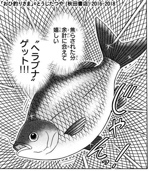 Championタップ Championtap さんのマンガ一覧 ツイコミ 仮 Championタップ Championtap さんのマンガ一覧 ツイコミ 仮
