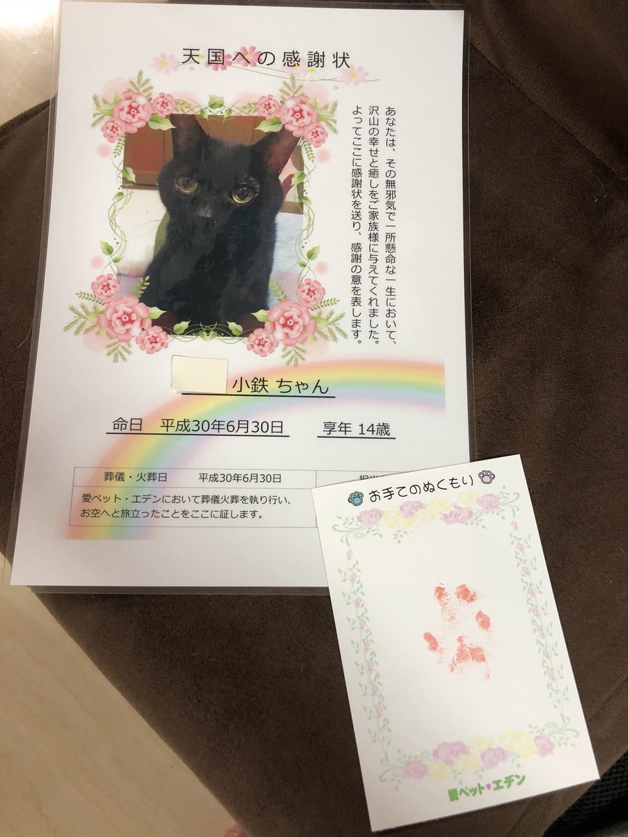ハマジ On Twitter 葬儀屋さんから郵送されてきた ありがとうございます ううううう うぅ あ 手形は火葬前に取っていただいたやつです 写真たてに入れて飾っとこ