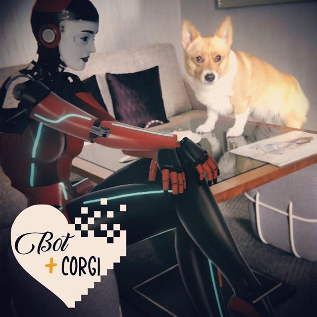 BotAndCorgi's tweet image. Dinner with the #corgipuppy - there’s a mess behind these #robot #crossedlegs #BotAndCorgi #newlogo ift.tt/2tWjN9e