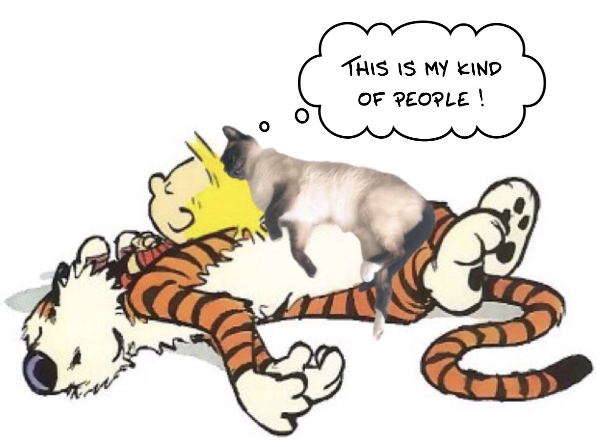 Happy 60th birthday, Bill Watterson and thank you for the eternal wonder of ! 