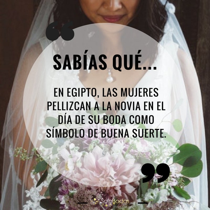 solobodasnet's tweet photo. ¿Qué te parece? 😂👰
.
.
.
#buenosdias #lamejorwebdebodas #webdebodas #bodas #frasespositivas #frasesmotivadoras #frasesinspiradoras #love #smile #beautiful #family #fashion #wedding #solobodasnet #novios https://t.co/PF1e5eP0eZ