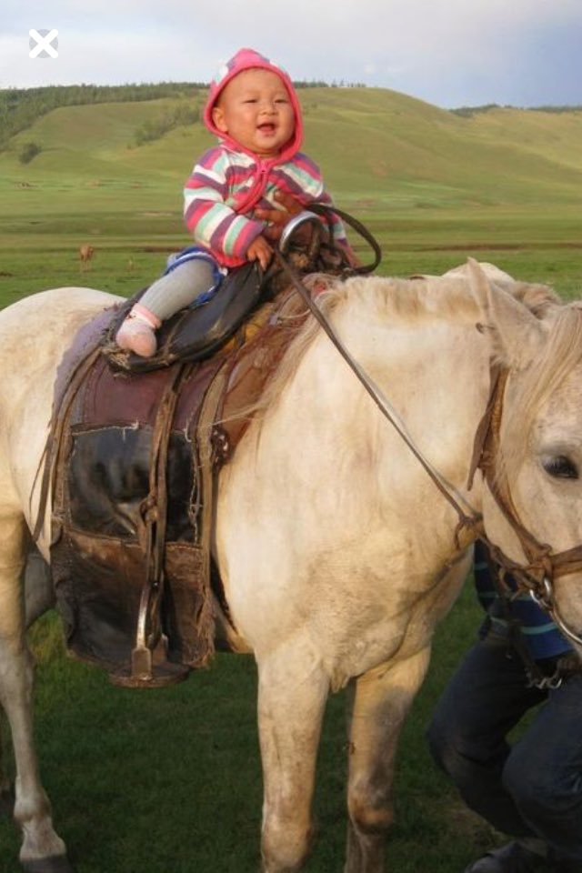 smart1800's tweet image. 