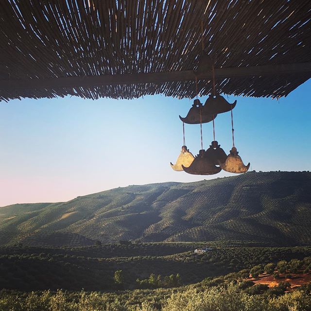 ffdunlop's tweet photo. Good morning sunshine & buenos dias Andalucía!
.
.
.
#sunup #olivegroves #lasubbetica #burmesewindchime #spanishlandscape #andalusia #spaintravel https://t.co/Hx6US2vJuc https://t.co/N3hgFZkLC7