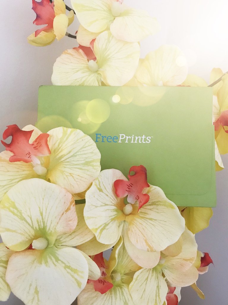 Summer is blossoming! 🌸🌺🌼 Even if it's making our hay fever go hay wire, we can't get enough of all the flowers in bloom and how beautiful they are photograph!