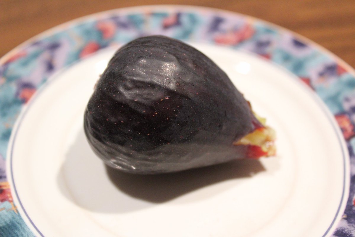 Foodfaye's tweet photo. Fourth of July Fig
Tonight we went for a walk and when we returned, Yakir decided to check our Mission fig tree.
We were rewarded with a big, sweet, luscious fig that was perfectly ripe - - the best fig we’ve had this year!
#Figs #MissionFigs #GardenFigs #FigTree #Homegardening https://t.co/kuj4yd4oM2