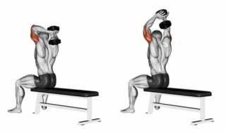 上腕三頭筋にストレッチパワーが溜まってきただろう Twitter Search Twitter