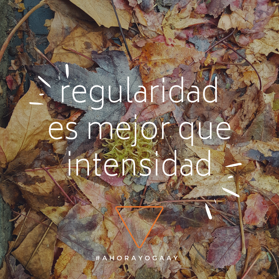 Ahorayoga's tweet photo. Regularidad es que mejor que intensidad. Te paso? Uno de los  secretos por lo que la práctica de yoga es beneficiosa. A veces dejamos de ir por el motivo que sea. Hacé el experimento de sostener el proceso y te sorprenderas ! 😘 #hathayoga #BuenJueves https://t.co/zD4CgPd8ZY
